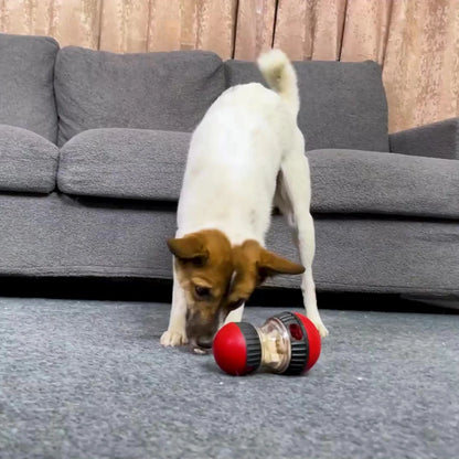 Juguetes interactivos para perros que mejoran el coeficiente intelectual de los cachorros, para perros pequeños y medianos